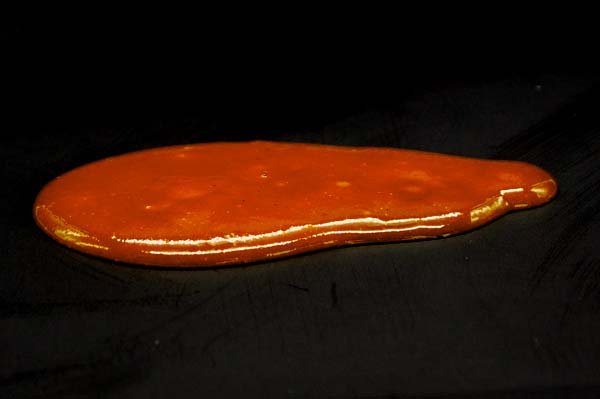 Crunchy-Curry-Sauce